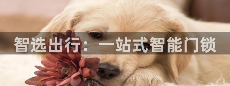 开丰娱乐官方app：智选出行：一站式智能门锁