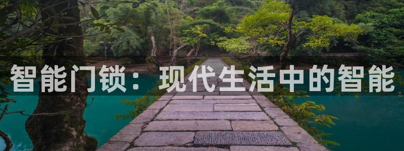 开丰娱乐月：智能门锁：现代生活中的智能