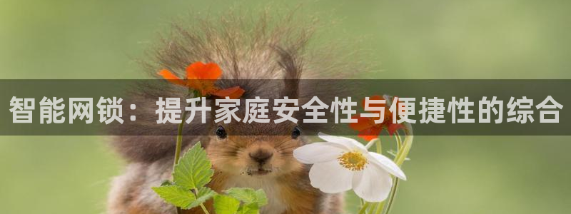 开丰娱乐登入地址在哪查：智能网锁：提升家庭安全性与便捷性的综