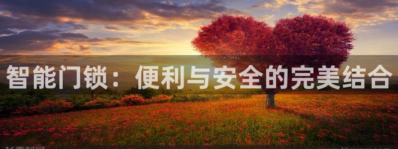 开丰娱乐手机app：智能门锁：便利与安全的完美结合