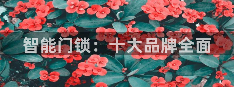 开丰娱乐登入地址在哪里：智能门锁：十大品牌全面