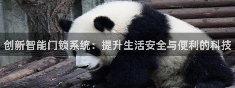 开丰娱乐除7O777：创新智能门锁系统：提升生活安全与便利的