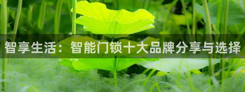 开丰娱乐平台官网登录：智享生活：智能门锁十大品牌分享与选择