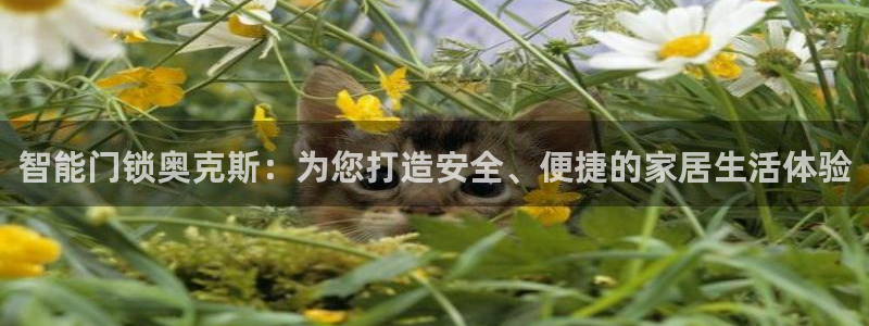 开丰娱乐登入地址在哪里：智能门锁奥克斯：为您打造安全、便捷的