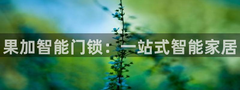 圩丰刚开的娱乐场所：果加智能门锁：一站式智能家居