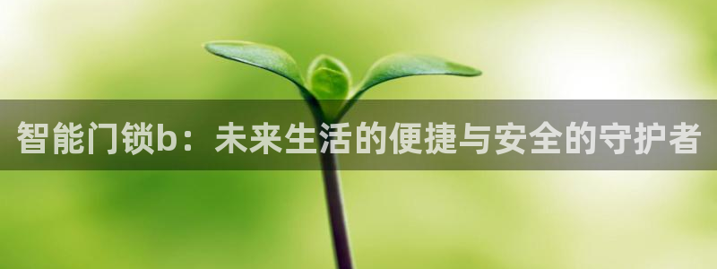 开丰娱乐官网最新消息：智能门锁b：未来生活的便捷与安全的守护