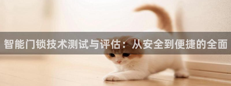 开丰娱乐网址：智能门锁技术测试与评估：从安全到便捷的全面