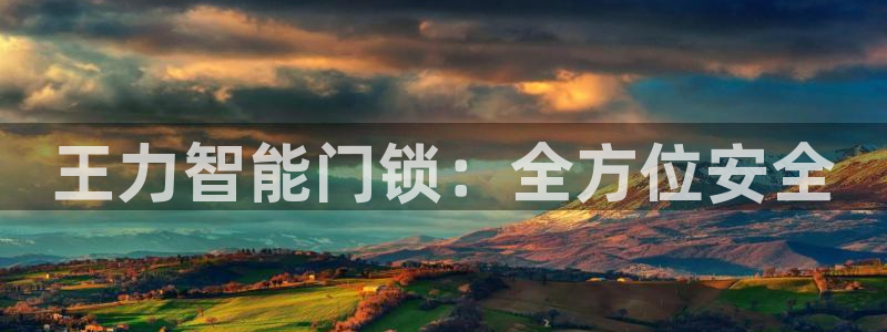 开丰娱乐地址：王力智能门锁：全方位安全