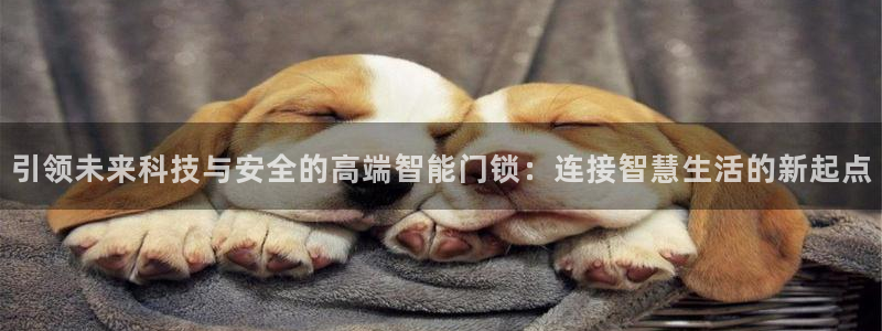 开丰娱乐天富娱乐：引领未来科技与安全的高端智能门锁：连接智慧