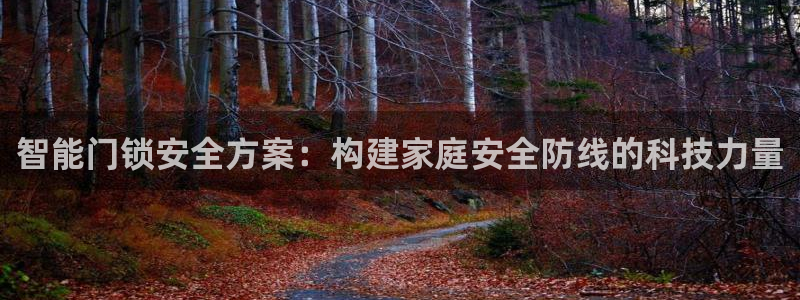开丰娱乐若七九九：智能门锁安全方案：构建家庭安全防线的科技力