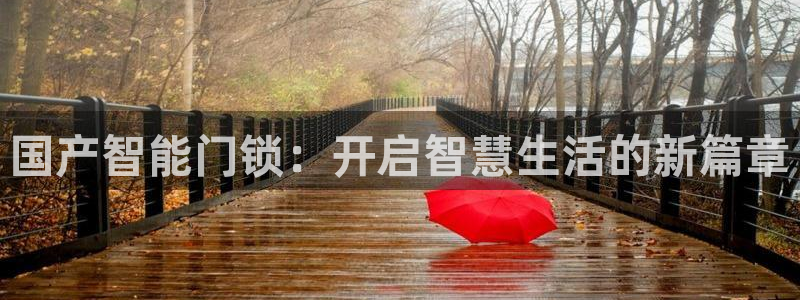 开丰娱乐注册自判官333OO：国产智能门锁：开启智慧生活的新
