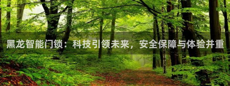 开丰娱乐下：黑龙智能门锁：科技引领未来，安全保障与体验并重