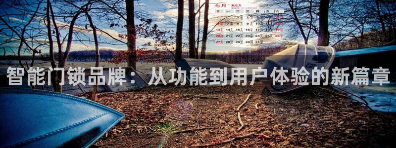开丰娱乐会员中心：智能门锁品牌：从功能到用户体验的新篇章
