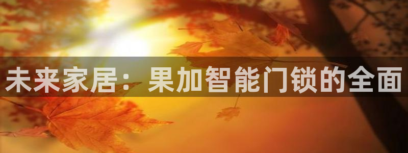 开丰娱乐咋7O777：未来家居：果加智能门锁的全面