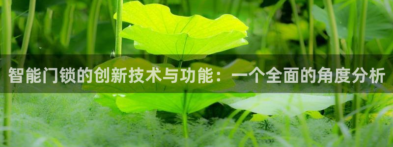 开丰娱乐2登录：智能门锁的创新技术与功能：一个全面的角度分析