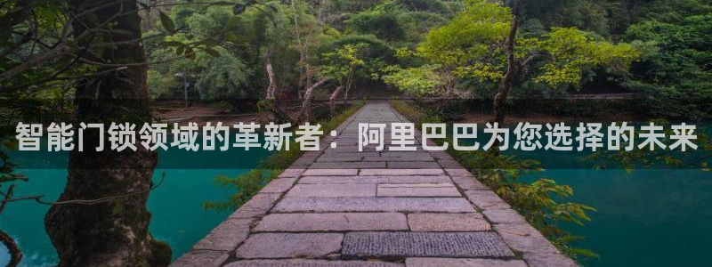 开丰娱乐登陆：智能门锁领域的革新者：阿里巴巴为您选择的未来
