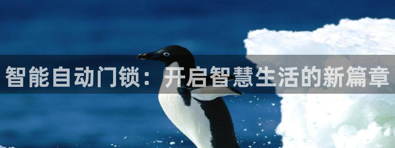 开丰娱乐 赢咖一：智能自动门锁：开启智慧生活的新篇章