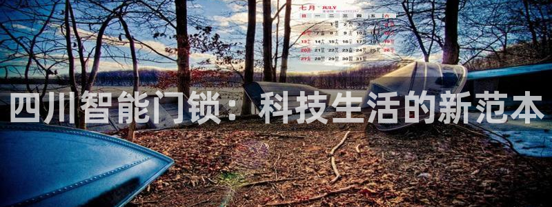 开丰娱乐官网登录平台：四川智能门锁：科技生活的新范本