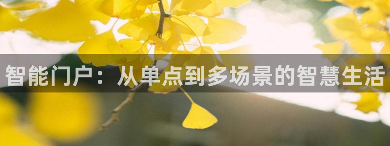 开丰娱乐官网电话：智能门户：从单点到多场景的智慧生活