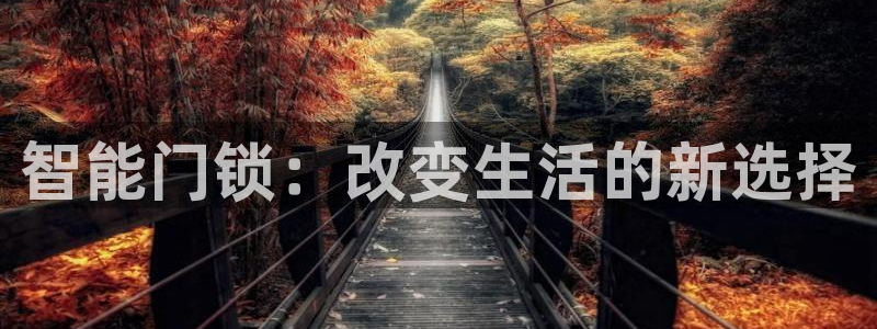 开丰娱乐下7O667：智能门锁：改变生活的新选择