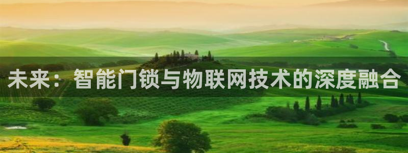 开丰娱乐天富娱乐：未来：智能门锁与物联网技术的深度融合