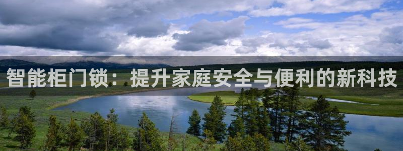 圩丰刚开的娱乐场所：智能柜门锁：提升家庭安全与便利的新科技