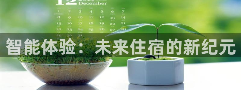 开丰娱乐注册资金多少：智能体验：未来住宿的新纪元