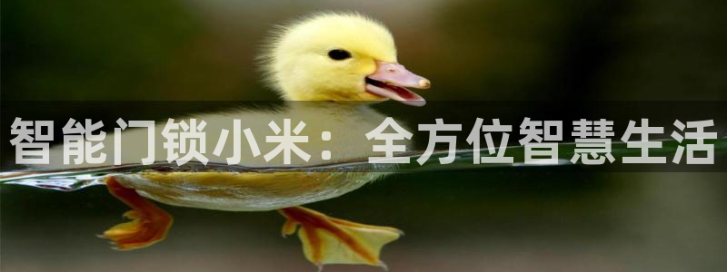 开丰娱乐手机app：智能门锁小米：全方位智慧生活