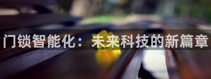 开丰娱乐会员中心：门锁智能化：未来科技的新篇章
