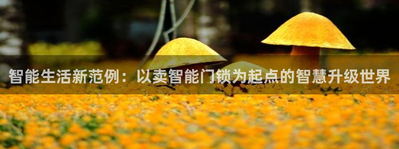 开丰娱乐平台登录：智能生活新范例：以卖智能门锁为起点的智慧升