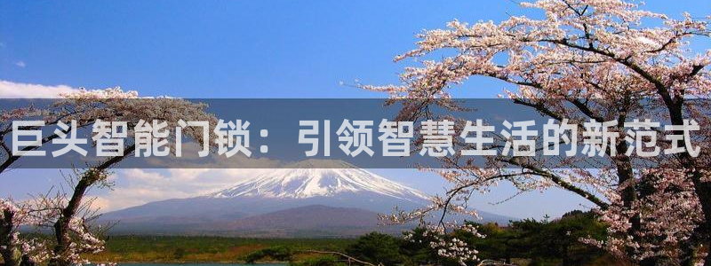 开丰娱乐官方app：巨头智能门锁：引领智慧生活的新范式