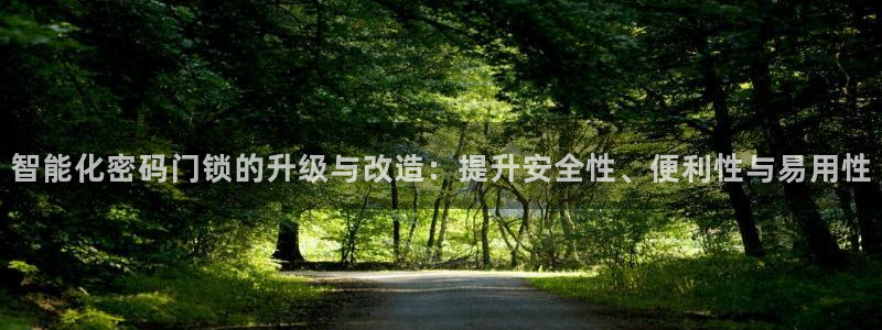开丰娱乐登录官方网站：智能化密码门锁的升级与改造：提升安全性