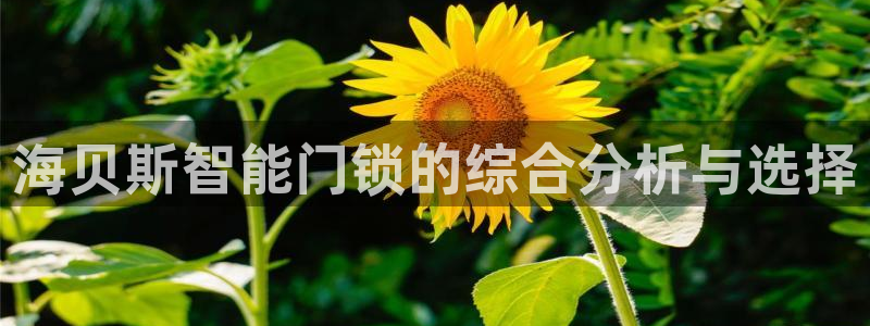 开丰娱乐天富娱乐：海贝斯智能门锁的综合分析与选择