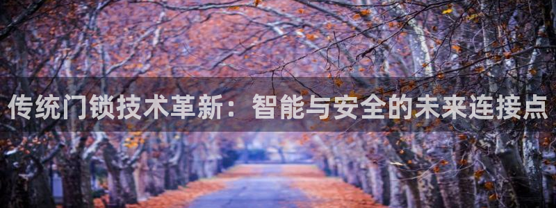 开丰娱乐官网平台：传统门锁技术革新：智能与安全的未来连接点