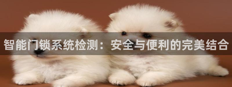 开丰娱乐行业恢复时间：智能门锁系统检测：安全与便利的完美结合