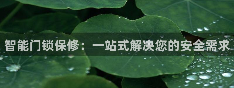 开丰娱乐寸67五壹叁八：智能门锁保修：一站式解决您的安全需求