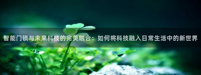 开丰娱乐万六七五一38：智能门锁与未来科技的完美融合：如何将