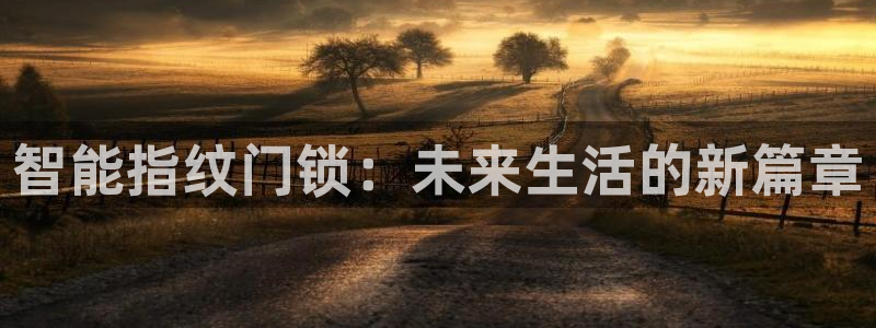 如何注册开丰娱乐账号：智能指纹门锁：未来生活的新篇章