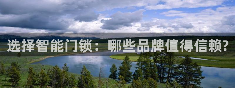 开丰娱乐注册登录：选择智能门锁：哪些品牌值得信赖?