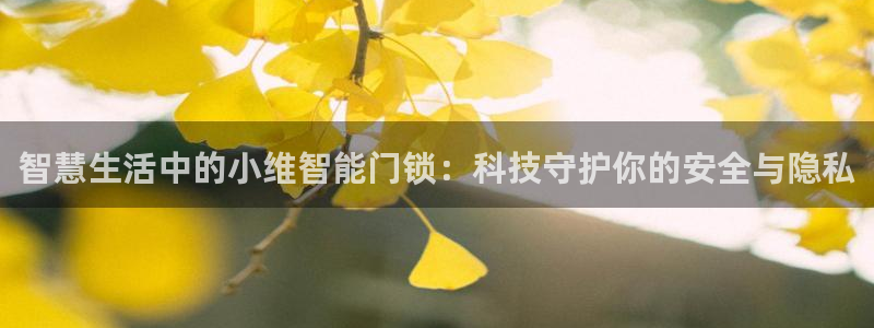 开丰娱乐地址查询：智慧生活中的小维智能门锁：科技守护你的安全