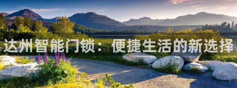 开丰娱乐下：达州智能门锁：便捷生活的新选择