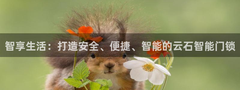 开丰娱乐左：智享生活：打造安全、便捷、智能的云石智能门锁
