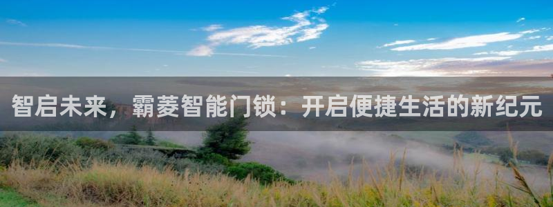 开丰娱乐：智启未来，霸菱智能门锁：开启便捷生活的新纪元
