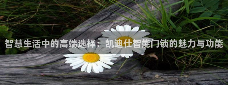 开丰娱乐：智慧生活中的高端选择：凯迪仕智能门锁的魅力与功能