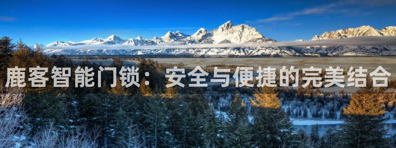 开丰娱乐怎么样：鹿客智能门锁：安全与便捷的完美结合