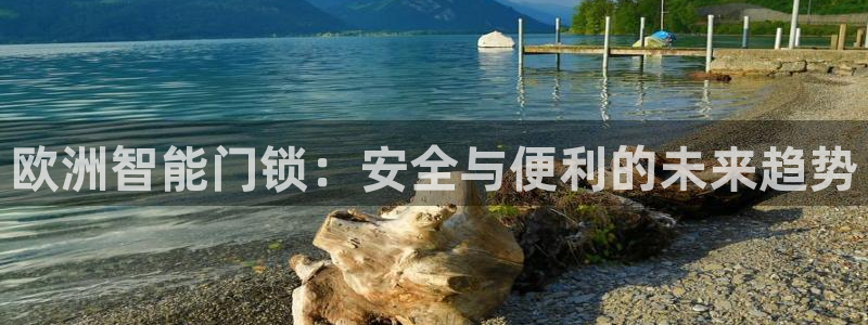 开丰娱乐体育平台：欧洲智能门锁：安全与便利的未来趋势