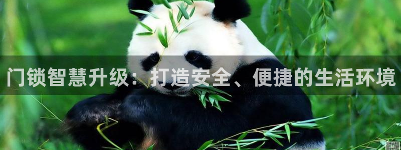 开丰娱乐后：门锁智慧升级：打造安全、便捷的生活环境
