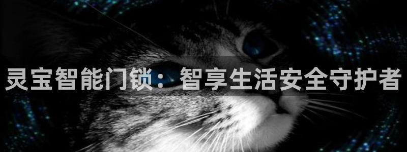 开丰娱乐注册电7O777：灵宝智能门锁：智享生活安全守护者