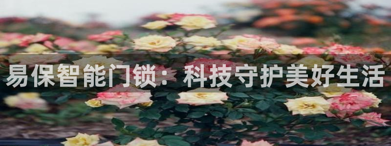 开丰娱乐登入：易保智能门锁：科技守护美好生活