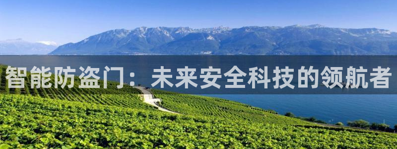 开丰娱乐联系q徽22212：智能防盗门：未来安全科技的领航者